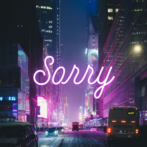 Sorry by Ray FL