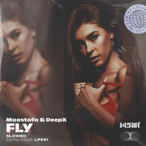 Fly - Slowed by Moostafa, DeepX