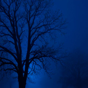fragile constellations by 2003, noescape