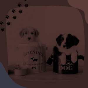 Elegant Music for Happy Dogs - Chill Out album