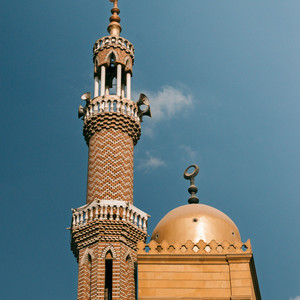 الشيخ محمد حسان ابو خليفة - قل الحمد لله