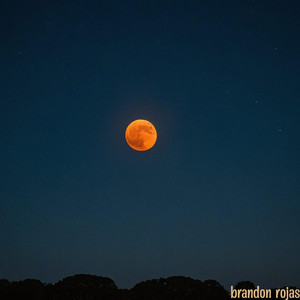 we werent meant to stay