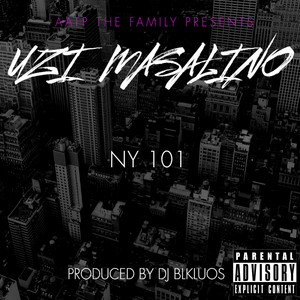 NY 101