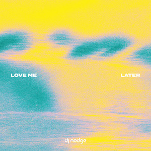 Love Me Later by DJ Nodge