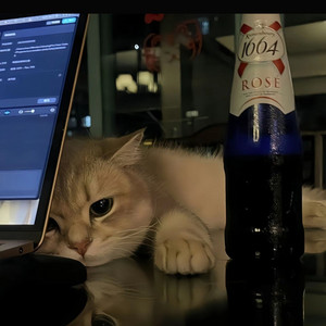 唠赵头儿 - 爱我还是他 (cover: 宁晗) [氛围R&B]