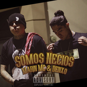 Somos Necios
