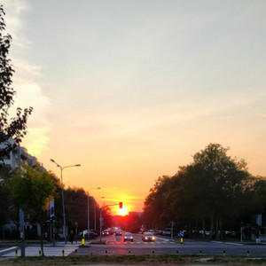 The Rising Sun