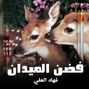 فهاد العلي - شيلة فضن الميدان