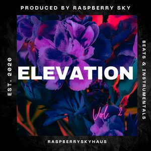 Elevation by Raspberry Sky