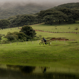 Unshaken Heart by Ang Kok Tong