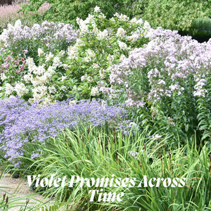 Luma Graves - Violet Promises Across Time