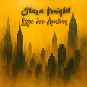 Diamonds in the Dark by Stara Knight