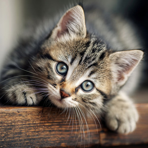 HitsLab - When Everyone Smiles