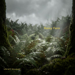 Rainy Fern by Vibrant Bouquet
