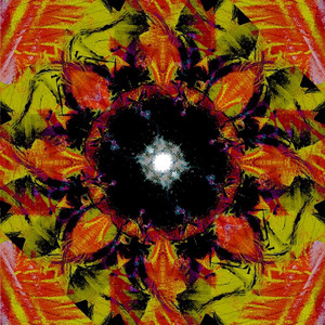 Maisy Rei - Uncertainty