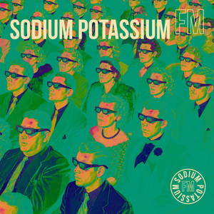 Teeter-totter by Sodium Potassium FM