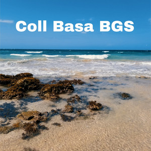 Biplob - Coll Basa BGS