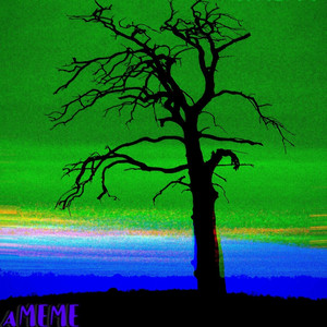 AMEME cover