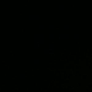 AnArChy - WhiteOwls (feat. PROD.IDONTDESERVEU!)