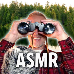 Lake — cover art by The Senton Bombs