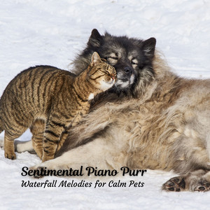 Sentimental Piano Purr: Waterfall Melodies for Calm Pets album