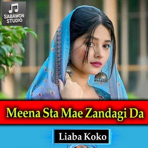 Liaba Koko - Meena Sta Mae Zandagi Da