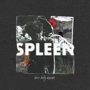SPLEEN (notturno)