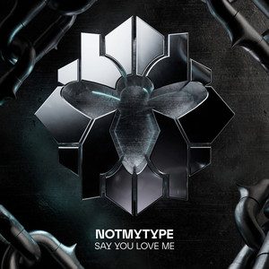 Say You Love Me by NOTMYTYPE