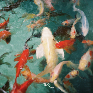 like water by ron quixote