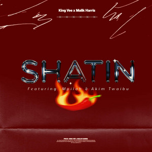 Shatin (feat. Malik Harris SA, Mpiloh & Akim Twaibu)