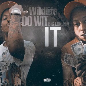 Portada de Do Wit It