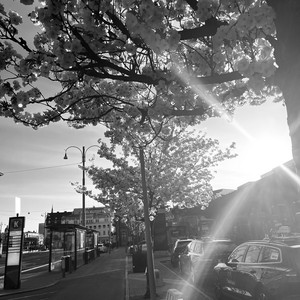 Where The Light Dances by Termination Agreement