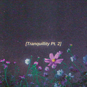 Tranquillity, Pt. 2 - (slowed + reverb) by Prod. Riddiman
