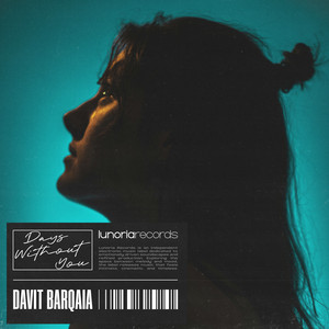 Days Without You by davit barqaia