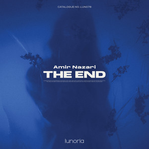The End by Amir Nazari