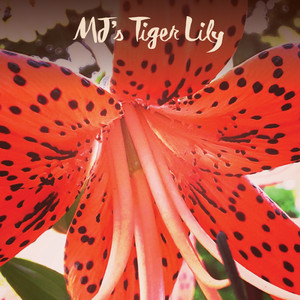 Mj's Tiger Lily - Album by Mj | Spotify