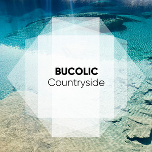 # 1 A 2019 Album: Bucolic Countryside album