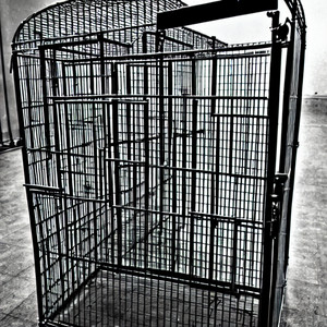 I end up in a cage by Francesco Caolo