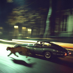 Lemuel Tay - Divine Failure