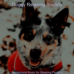 Background Music for Sleeping Puppies album