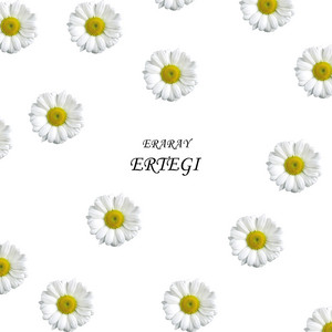 Ertegi