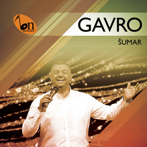Slavisa Gavrilovic Gavro - Sumar