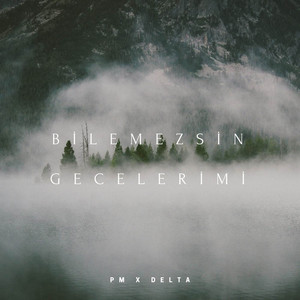 Bilemezsin Gecelerimi