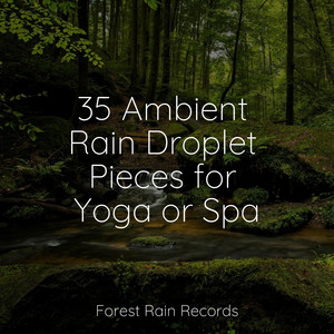 35 Ambient Rain Droplet Pieces for Yoga or Spa album