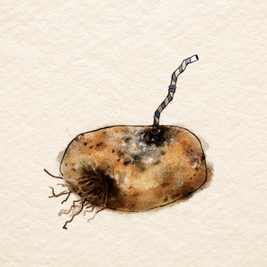 Old Potatoes by Sara Beth