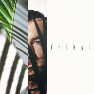 Rainwater by Past Palms