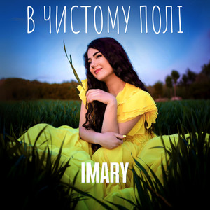 В чистому полі