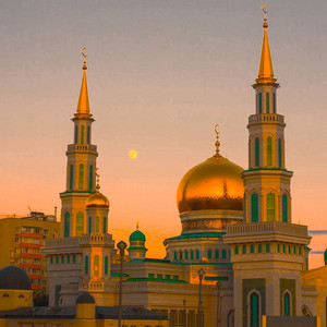 فاطمة بنت قيس - قل الحمد لله حتى يتسع صدرك