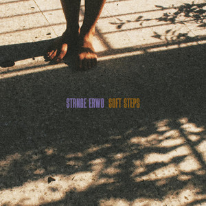 Soft Steps by STRNGE, Erwo