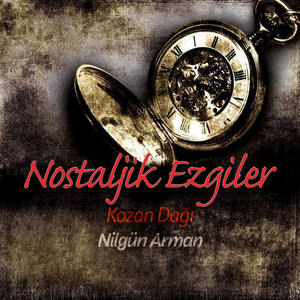 Nilgün Arman - Ceviz Oynamaya Geldim